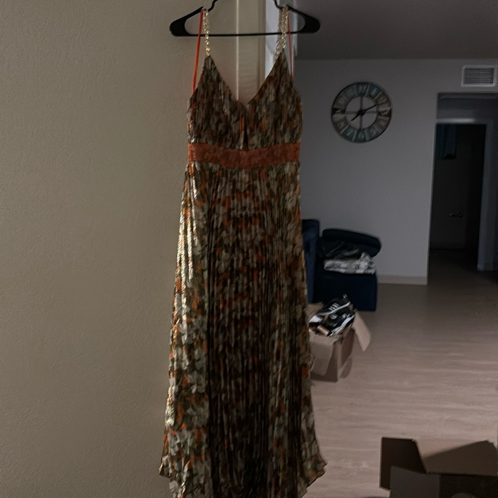 Alice and Olivia maxi dress